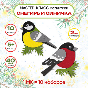 Мастер-класс для детей, на 10 человек, Магнитики Снегирь и Синичка, Санта Лючия