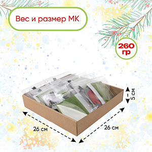 Мастер-класс для детей, на 10 человек, Магнитики Снегирь и Синичка, Санта Лючия